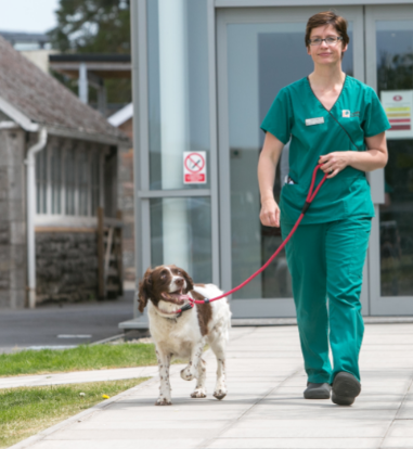 Nurse walking a dog