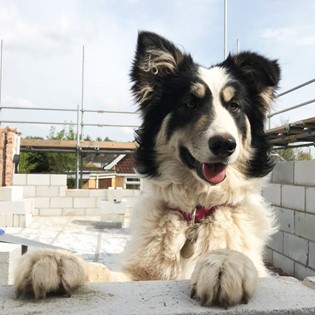 Skye has grown since her procedure